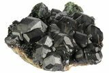 Andradite Garnet Cluster with Hedenbergite - Inner Mongolia #182838-1